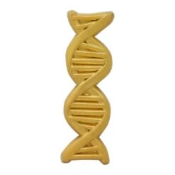 Fanattik Jurassic Park Premium Box Genetics Division Variant 27 Fanattik Jurassic Park Premium Box Genetics Division Variant -Action Figures Shop 13246307 1344888393810986