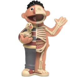 XXRAY Plus 8.5'' Ernie Retro Edition